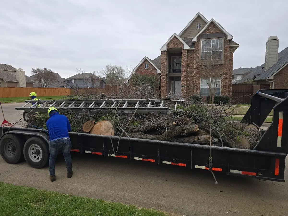 Expert Crown Reduction with proper safety equipment in Hillside